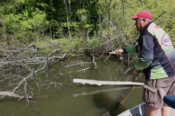 Dabbling with a long rod in the deadfalls on Pymatuning Lake, and other similar waters, is a good method for seducing spawning black crappie.