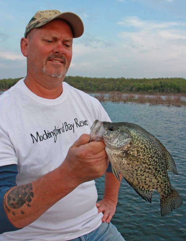 Clear water lakes require stealth presentations in the brush. Frank Zortman displays a nice Norfork Lake, AR, black crappie.