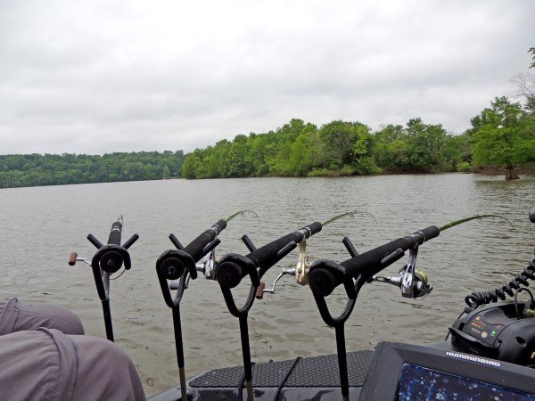 Proper setup is important. Phillips spider rigging system includes Driftmaster Rodholders.