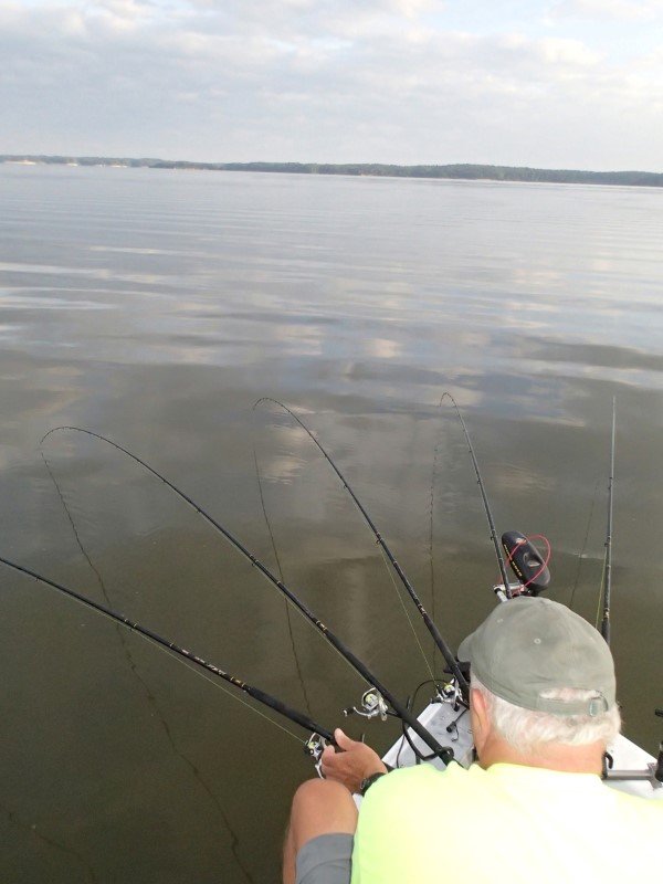 Power trolling is an in-your-face tactic to attack open water fish. Heavy weights, big spinner jigs and fast speeds in the 1.0 mph range makes it possible to cover a lot of water with multiple baits.