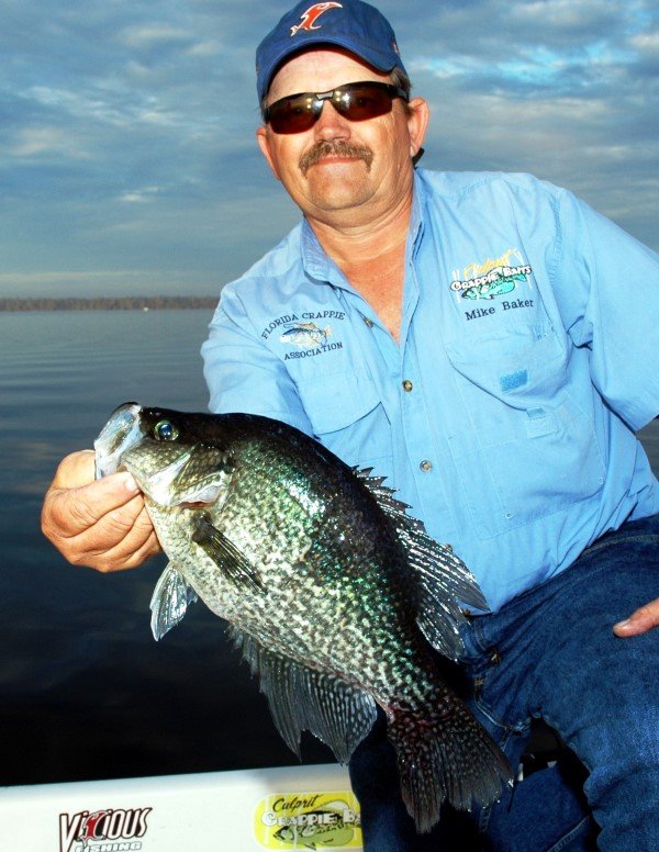 049 Summer crappie can be caught by using the right techniques and presentations. Plan to get in on the action whether you live in the far south, north, or somewhere in between.