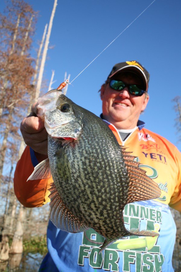 South Carolina’s Whitey Outlaw likesorange body soft plastics for his muddy water swamp fishing.