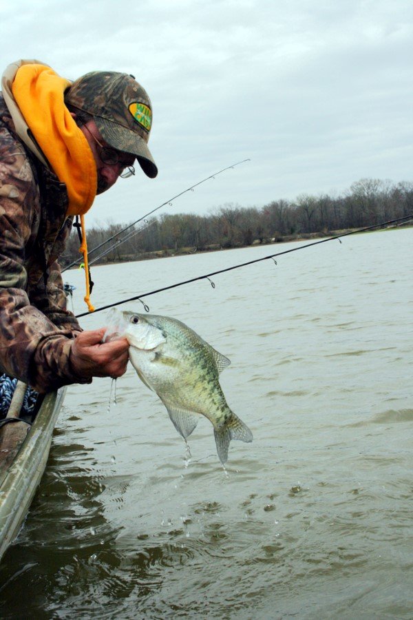 Dave Woodward picks crappies off the wood along banks of Lake Barkley’s upper reaches by casting small jigs, but his best catches come from the lock walls below and above Cheatham Dam