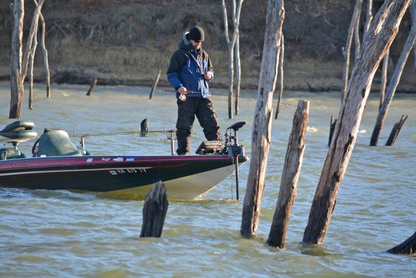 Flooded trees are a good place to use vertical jigging. Hillsdale Lake in December provided good action and a limit of crappie.