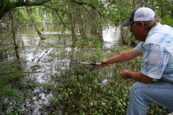 Fishing in a swamp employs a technique variously called “dabbing” or “dapping," though the locals who practice it don’t call it anything at all, they just do it.