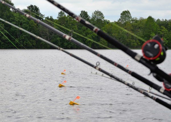 Trolling baits under planer boards is a highly effective way to search for crappie in the spring. Anglers can fish various lures at different depths simultaneously. ie in the spring.