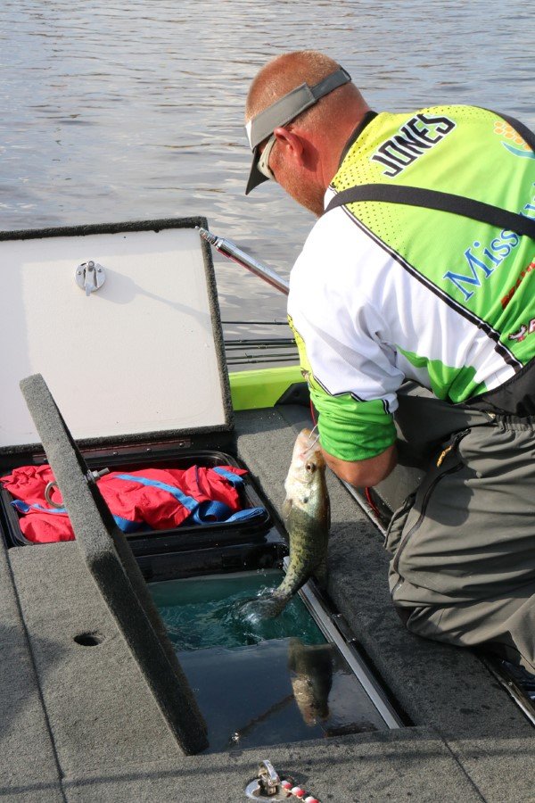 Kevin Jones pulls a good crappie from the livewell on day two of the Crappie Masters Lake D’Arbonne, Louisiana State Championship. Keeping fish alive is as important as catching them.