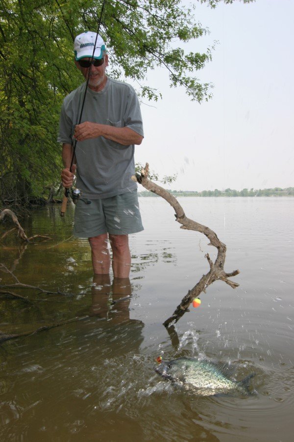 Wet-wading a hard-to-reach shoreline at Shenango Lake, PA.