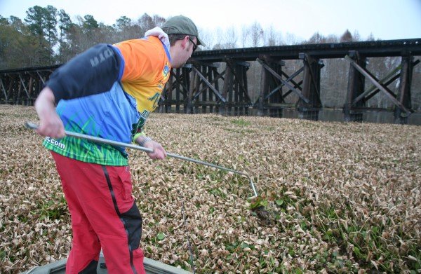 his rake/pole Matt Outlaw reaches across the water, placing the curved pointy part into a bed of thick weeds and then starts scraping, or scratching, the floating weeds apart.