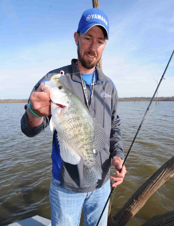 Pitching a big jig to hardwood trees in the backs of creeks is Truman Lake guide Jeff Faulkenberry’s favorite tactic for catching fall turnover crappie.