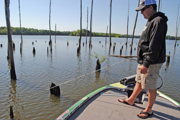 Standing timber is a favorite target for Mike Vallentine when he is one-pole fishing. He suggests targeting groupings of standing timber rather than a single tree.