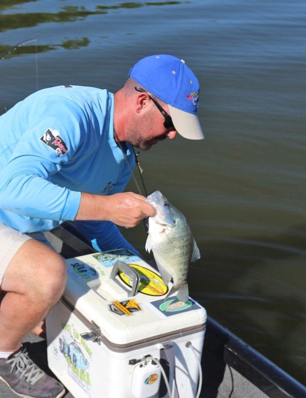 Minnows are good for tipping a jig. You have the attracting color of the jig plus the natural look and action of a live offering. A good aerator box is important.