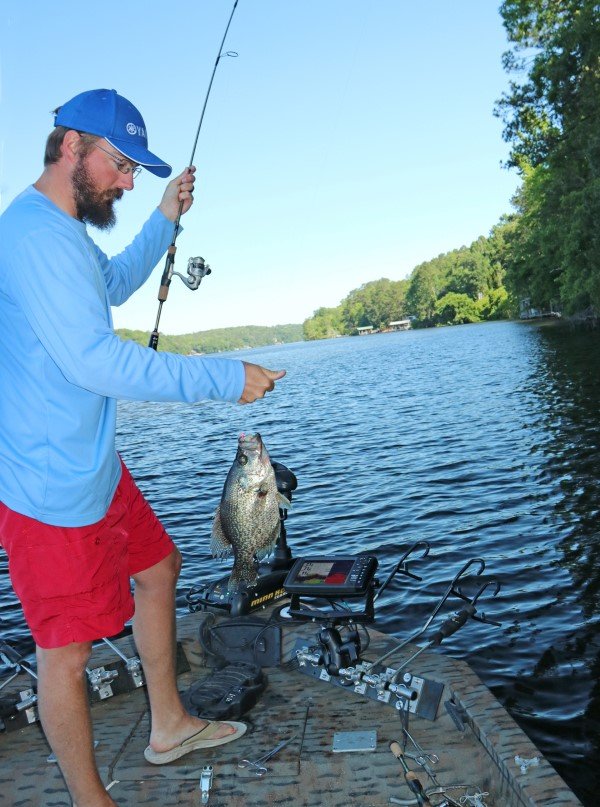 Swinging a fish to the boat is the reward for finding a spot and making a good presentation.