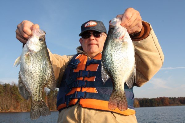 These fish were among 20-some nice-size crappies taken in late November from 28 feet of water near a river channel, laying smack on the bottom. They were caught by drop-shotting Baby Shads on a six inch leader above the weight.