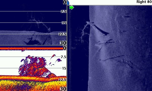 Advanced electronics let you find spots faster by covering more area like shown in this photo. However, a map and good sonar with GPS will do the job. This shot shows cover at 20 feet.
