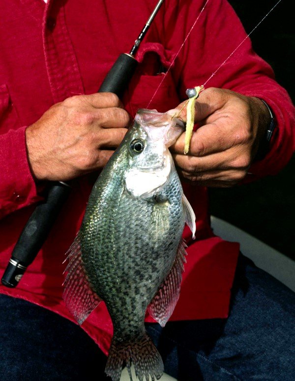 Tiny to larger jigs will work to catch deep crappie, with lightweight preferred when wind allows. Or, you can create your own rig.