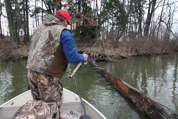 Angler dabbles small jig along blow down in a protected bay on Pymatuning Lake.