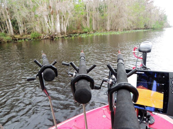 Spider rigging is a very effective method for catching crappie on the St. Johns River, but so is single pole jigging. Note the pads and cover along the shoreline just waiting to be dipped.