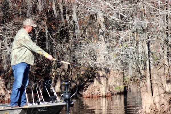 Whitey Outlaw single poles cypress trees in search of isolated spots holding crappie.