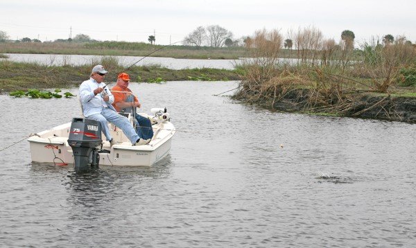 Coastal rivers from North Carolina to Florida offer some amazing low lying areas where backwater shorelines create tidal humps, low but steep tidal banks and more corners than a jigsaw puzzle.