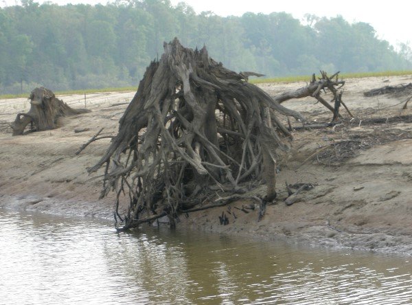 Finding, marking and studying stumps during low water is a great way to get better insight to what you’re fishing when the water comes up over the stumps.